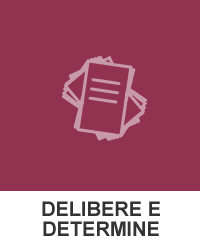 delibere e determine on line